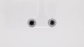 1 ct. tw. Treated Black and White Diamond Halo Earrings in 10K White Gold front view