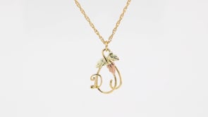 Black Hills Gold Hanging Vine with Leaves Initial Letter D Pendant in 10K Yellow Gold front view