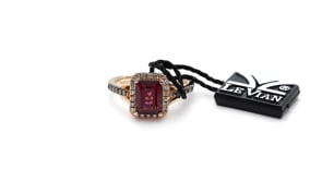Le Vian Creme Brulee Raspberry Rhodolite Garnet & 1/4 ct. tw. Chocolate & Nude Diamond Halo Ring in 14K Strawberry front view