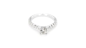 Brilliantly Yours 1-3/8 ct. tw. Round Brilliant Diamond Engagement Ring with Diamond Band in 14K White Gold close-up detail