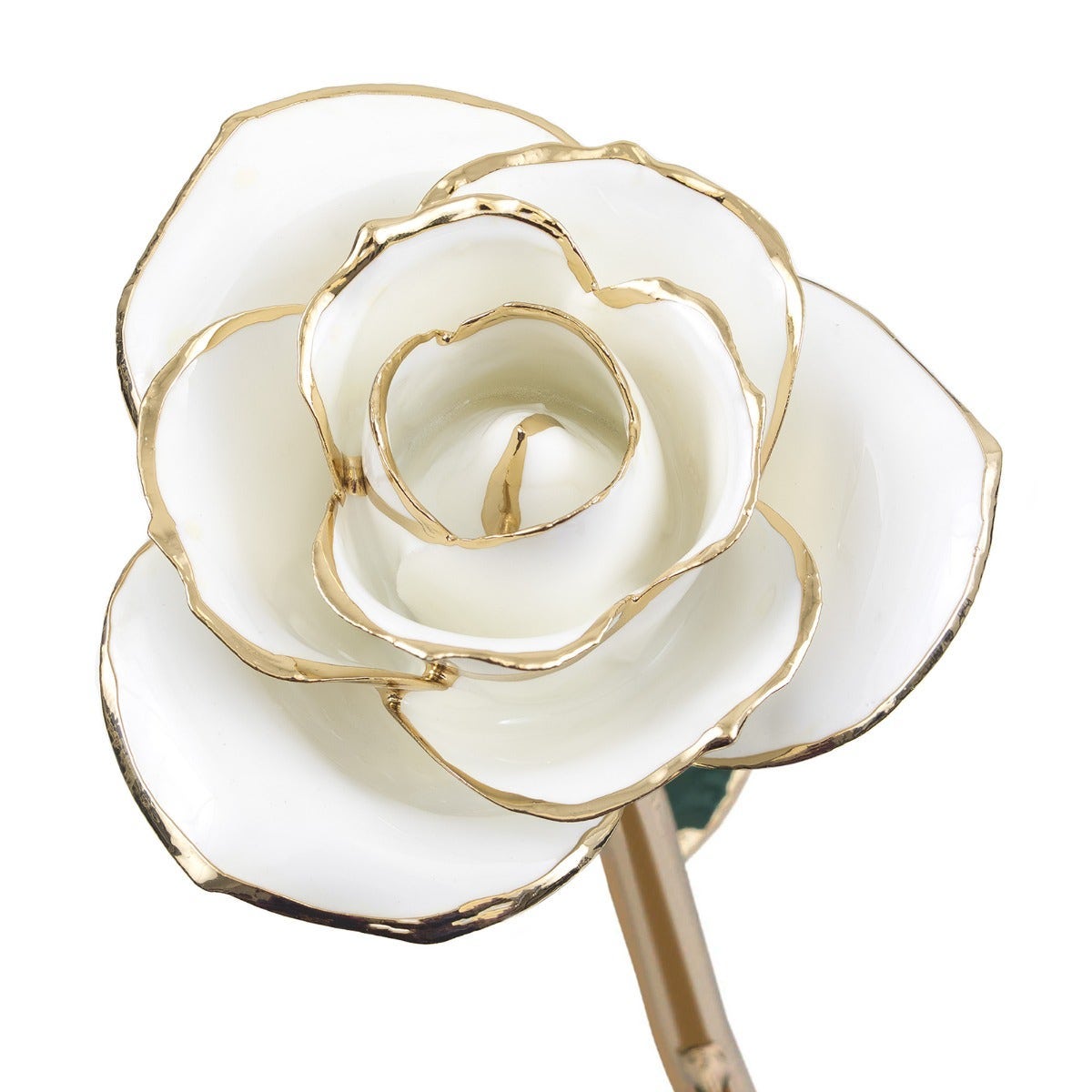 24K Gold Dipped Blissful White Rose