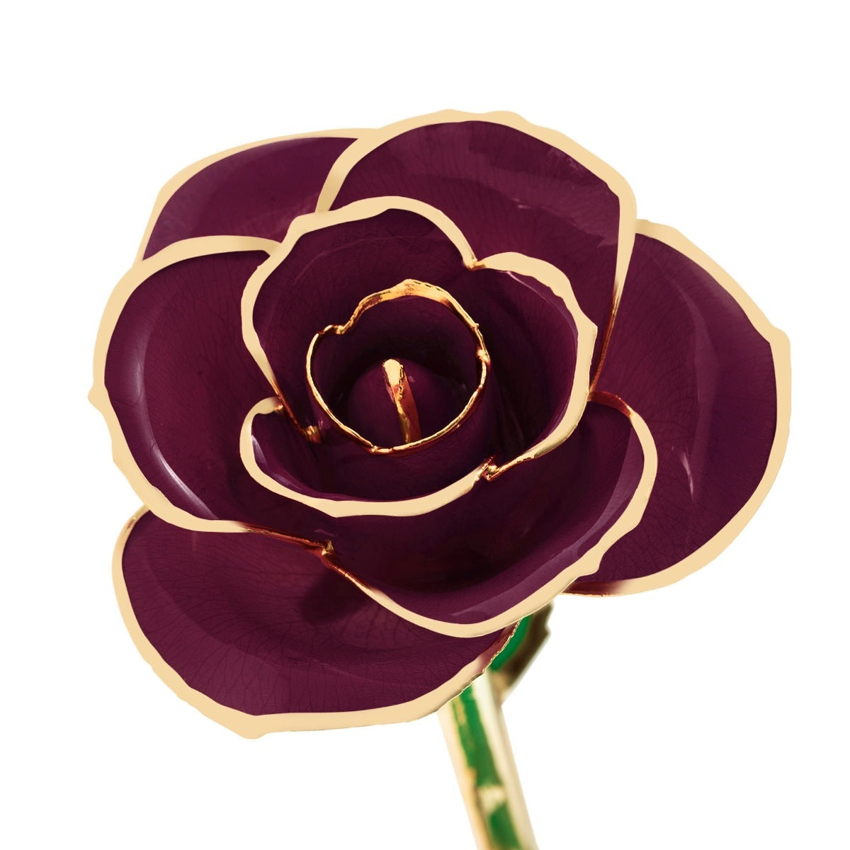 24K Gold Dipped Burgundy Wine Rose