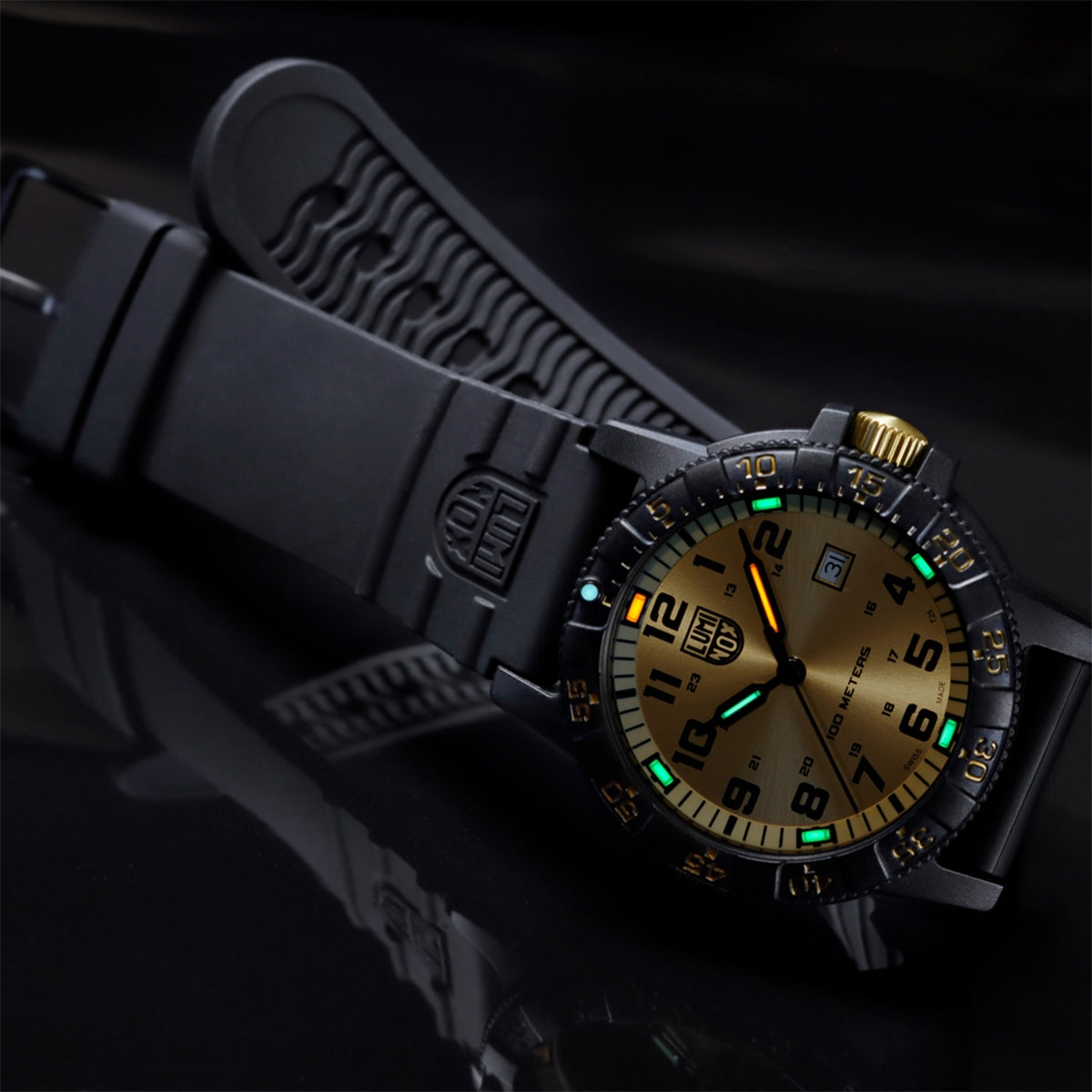 Luminox Men's Leatherback Sea Turtle Giant Quartz Black Carbonox Watch with Gold Dial & Black Rubber Strap side profile