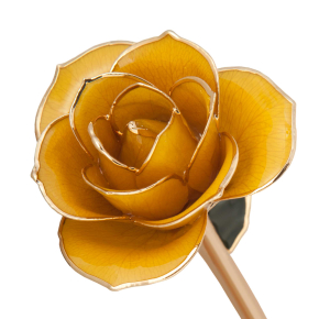 24K Gold Dipped Sunshine Yellow Rose