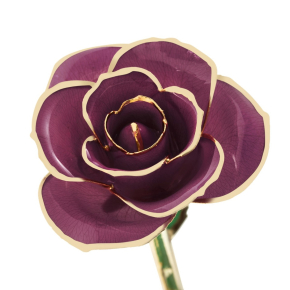 Purple rose with yellow gold detailing