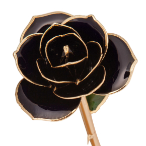 24K Gold Dipped Diamond Black Rose