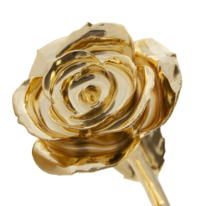 24K Gold Dipped Glamorous Gold Rose