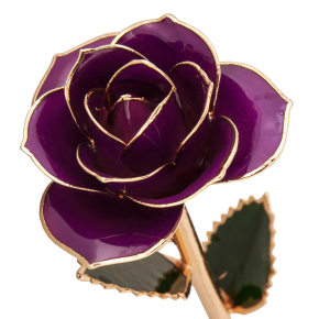 24K Gold Dipped Royal Purple Rose