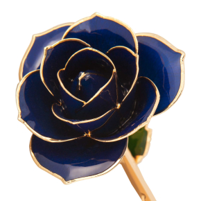 24K Gold Dipped Midnight Blue Rose