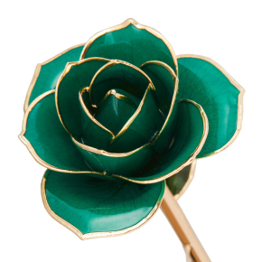 24K Gold Dipped Daring Turquoise Rose